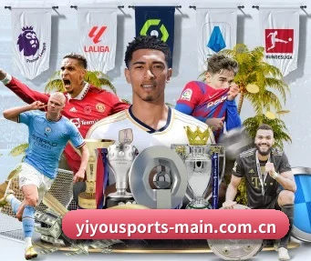 易游体育官网入口 APP（YYSports）